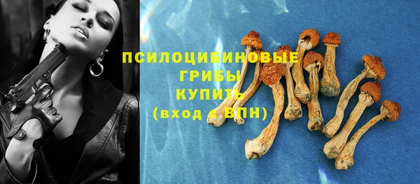 спайс Арсеньев