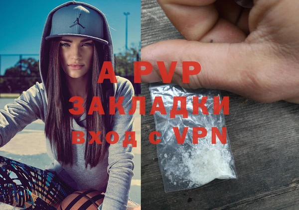 стафф Баксан