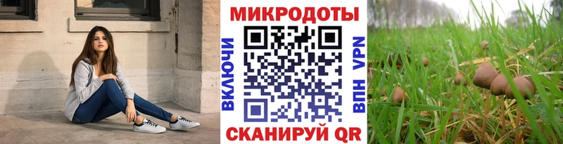 Галлюциногенные грибы Magic Shrooms  Зима 