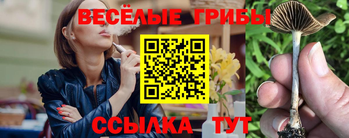Галлюциногенные грибы Cubensis Зима