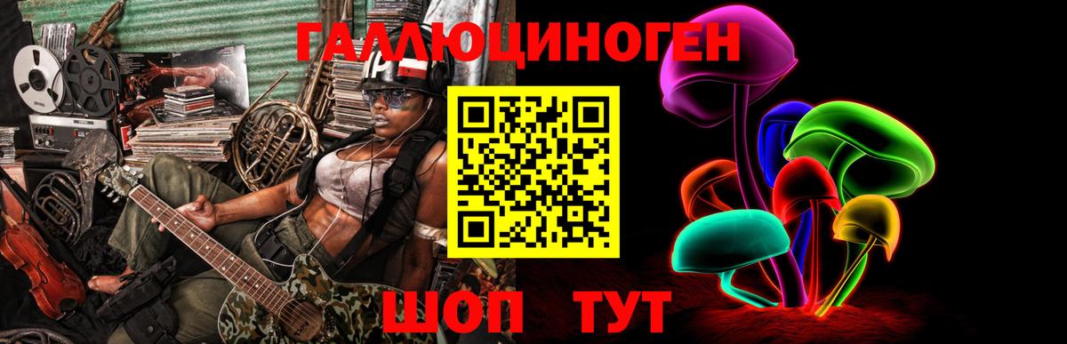 Зима  Галлюциногенные грибы Magic Shrooms  Псилоцибиновые грибы мухоморы  купить  сайты  Вход с VPN 